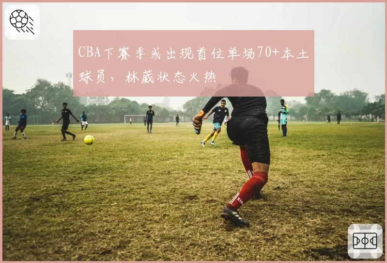 CBA下赛季或出现首位单场70+本土球员,林葳状态火热
