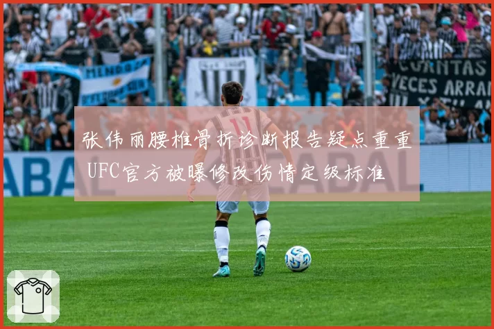 张伟丽腰椎骨折诊断报告疑点重重 UFC官方被曝修改伤情定级标准