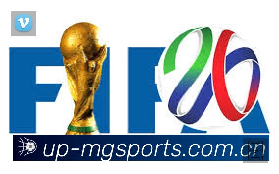 满冠体育官方直营站APP界面展示