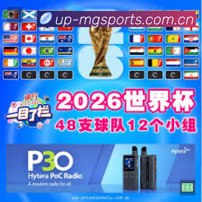 实时监控数据概览